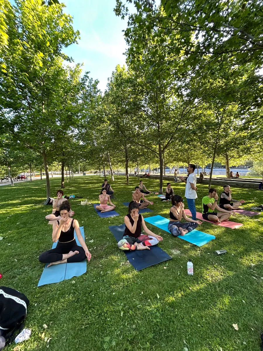 Grupo practicando yoga en un parque